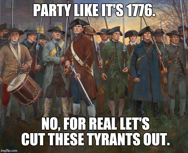 revolutionary militia | PARTY LIKE IT'S 1776. NO, FOR REAL LET'S CUT THESE TYRANTS OUT. | image tagged in revolutionary militia | made w/ Imgflip meme maker