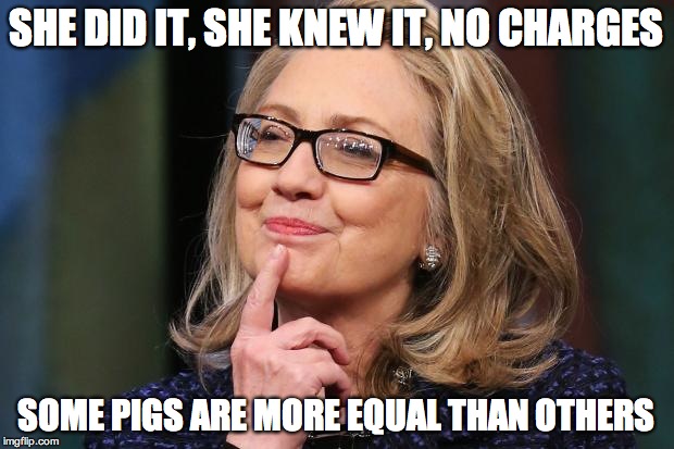 Hillary Clinton | SHE DID IT, SHE KNEW IT, NO CHARGES; SOME PIGS ARE MORE EQUAL THAN OTHERS | image tagged in hillary clinton | made w/ Imgflip meme maker