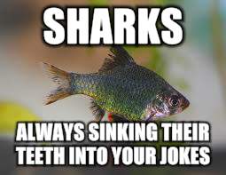 SHARKS ALWAYS SINKING THEIR TEETH INTO YOUR JOKES | made w/ Imgflip meme maker