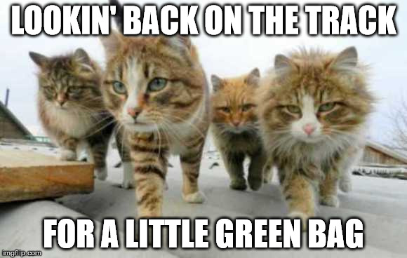 Reservoir Cats | LOOKIN' BACK ON THE TRACK; FOR A LITTLE GREEN BAG | image tagged in bad kitties,reservoir dogs | made w/ Imgflip meme maker