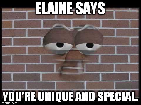 talking brick wall | ELAINE SAYS; YOU'RE UNIQUE AND SPECIAL. | image tagged in talking brick wall | made w/ Imgflip meme maker
