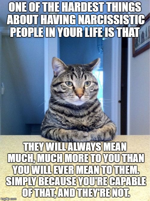 Take A Seat Cat | ONE OF THE HARDEST THINGS ABOUT HAVING NARCISSISTIC PEOPLE IN YOUR LIFE IS THAT; THEY WILL ALWAYS MEAN MUCH, MUCH MORE TO YOU THAN YOU WILL EVER MEAN TO THEM. SIMPLY BECAUSE YOU'RE CAPABLE OF THAT, AND THEY'RE NOT. | image tagged in memes,take a seat cat | made w/ Imgflip meme maker
