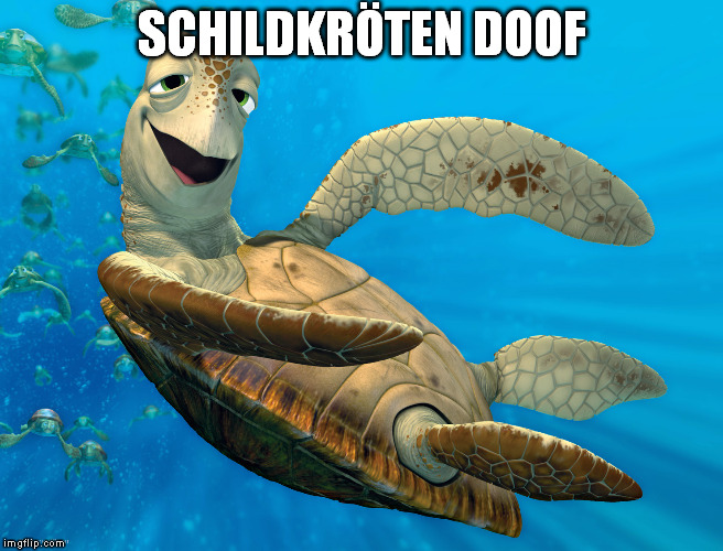 turtle on drugs | SCHILDKRÖTEN DOOF | image tagged in turtle on drugs | made w/ Imgflip meme maker