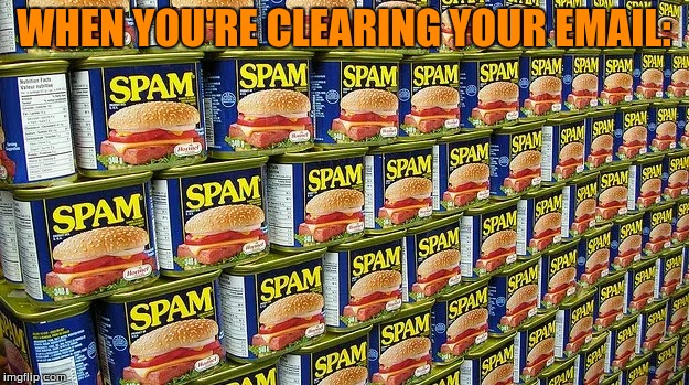 All da spam | WHEN YOU'RE CLEARING YOUR EMAIL: | image tagged in email | made w/ Imgflip meme maker
