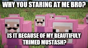 pink sheep | WHY YOU STARING AT ME BRO? IS IT BECAUSE OF MY BEAUTIFULY TRIMED MUSTASH? | image tagged in pink sheep | made w/ Imgflip meme maker