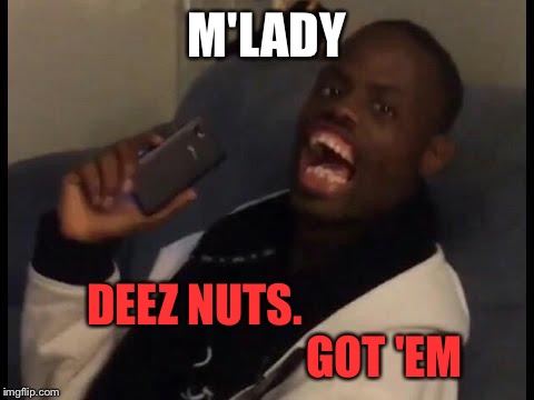 deez nuts | M'LADY; DEEZ NUTS.                                         
GOT 'EM | image tagged in deez nuts | made w/ Imgflip meme maker