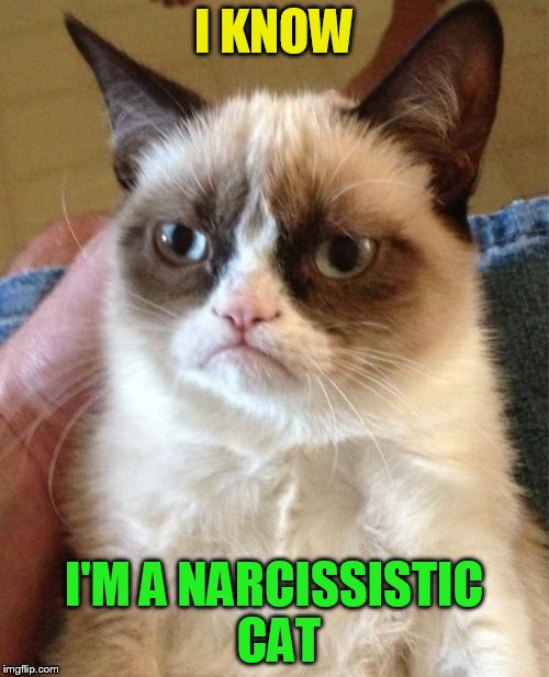 Grumpy Cat Meme | I KNOW I'M A NARCISSISTIC CAT | image tagged in memes,grumpy cat | made w/ Imgflip meme maker