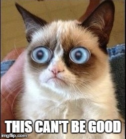 Grumpy Cat Shocked | THIS CAN'T BE GOOD | image tagged in grumpy cat shocked | made w/ Imgflip meme maker