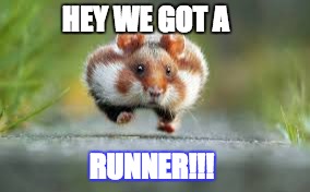 Hamster Running | HEY WE GOT A; RUNNER!!! | image tagged in running,race,funny animal meme | made w/ Imgflip meme maker