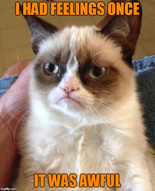 Grumpy Cat Meme | I HAD FEELINGS ONCE IT WAS AWFUL | image tagged in memes,grumpy cat | made w/ Imgflip meme maker