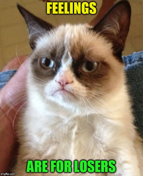 Grumpy Cat Meme | FEELINGS ARE FOR LOSERS | image tagged in memes,grumpy cat | made w/ Imgflip meme maker