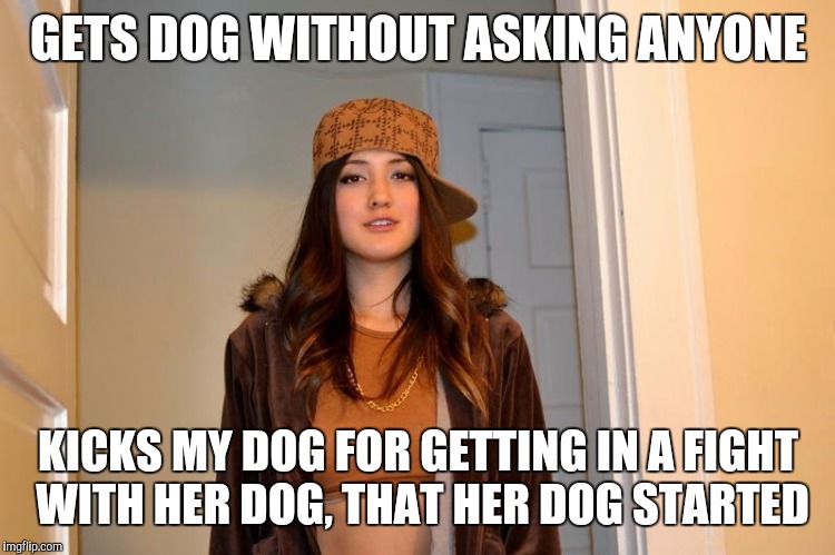 Scumbag Stephanie  | GETS DOG WITHOUT ASKING ANYONE; KICKS MY DOG FOR GETTING IN A FIGHT WITH HER DOG, THAT HER DOG STARTED | image tagged in scumbag stephanie,AdviceAnimals | made w/ Imgflip meme maker