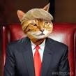 High Quality trumpcat 2017 Blank Meme Template