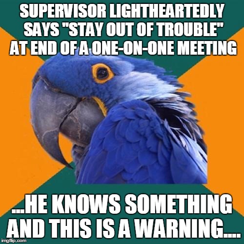 Paranoid Parrot | SUPERVISOR LIGHTHEARTEDLY SAYS "STAY OUT OF TROUBLE" AT END OF A ONE-ON-ONE MEETING; ...HE KNOWS SOMETHING AND THIS IS A WARNING.... | image tagged in memes,paranoid parrot | made w/ Imgflip meme maker