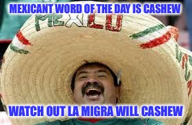 mexicant | MEXICANT WORD OF THE DAY IS CASHEW; WATCH OUT LA MIGRA WILL CASHEW | image tagged in mexican word,funny memes,illegal immigration | made w/ Imgflip meme maker