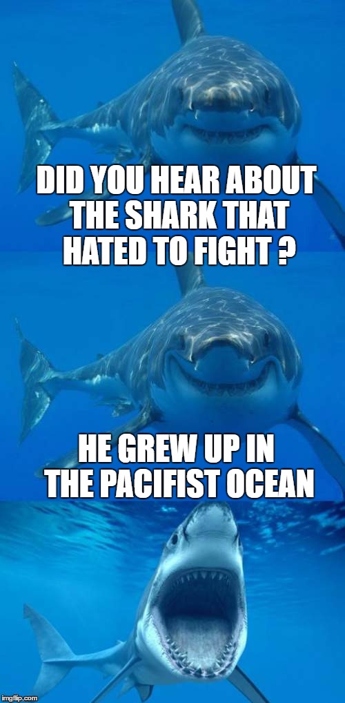 shark fight | DID YOU HEAR ABOUT THE SHARK THAT HATED TO FIGHT ? HE GREW UP IN THE PACIFIST OCEAN | image tagged in bad shark pun,shark week,shark | made w/ Imgflip meme maker