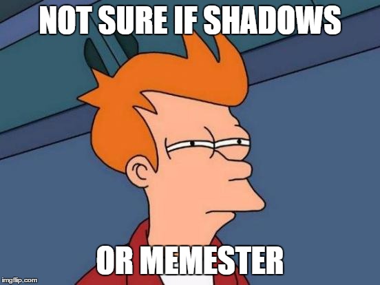 Futurama Fry Meme | NOT SURE IF SHADOWS OR MEMESTER | image tagged in memes,futurama fry | made w/ Imgflip meme maker