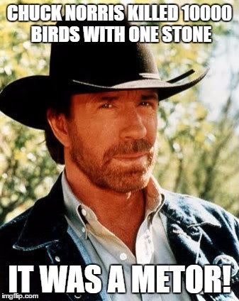 Chuck Norris | CHUCK NORRIS KILLED 10000 BIRDS WITH ONE STONE; IT WAS A METOR! | image tagged in chuck norris | made w/ Imgflip meme maker