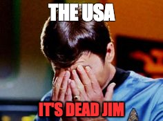 THE USA; IT'S DEAD JIM | image tagged in mccoy double palm | made w/ Imgflip meme maker