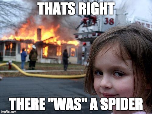 Disaster Girl | THATS RIGHT; THERE "WAS" A SPIDER | image tagged in memes,disaster girl | made w/ Imgflip meme maker