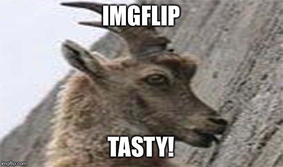 IMGFLIP TASTY! | made w/ Imgflip meme maker