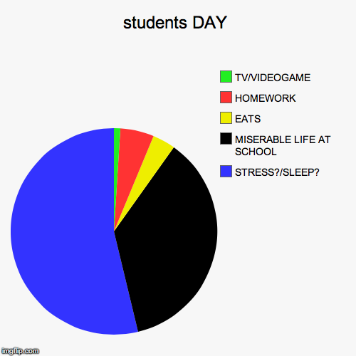 image tagged in funny,pie charts | made w/ Imgflip chart maker