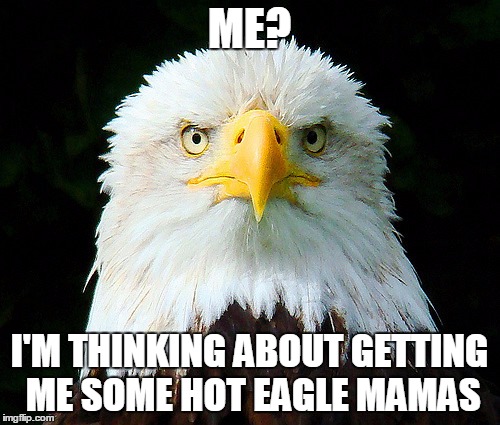ME? I'M THINKING ABOUT GETTING ME SOME HOT EAGLE MAMAS | made w/ Imgflip meme maker