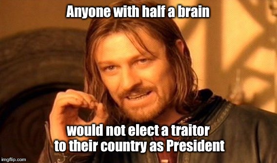 One Does Not Simply | Anyone with half a brain; would not elect a traitor to their country as President | image tagged in memes,one does not simply | made w/ Imgflip meme maker