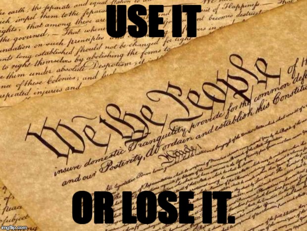 No explanation necessary. | USE IT; OR LOSE IT. | image tagged in memes,constitution | made w/ Imgflip meme maker