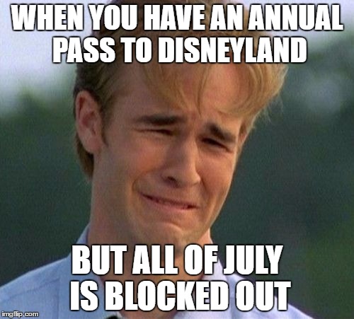 1990s First World Problems Meme | WHEN YOU HAVE AN ANNUAL PASS TO DISNEYLAND; BUT ALL OF JULY IS BLOCKED OUT | image tagged in memes,1990s first world problems | made w/ Imgflip meme maker