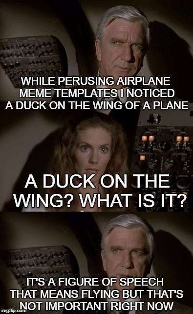Airplane what is it ? | WHILE PERUSING AIRPLANE MEME TEMPLATES I NOTICED A DUCK ON THE WING OF A PLANE; A DUCK ON THE WING? WHAT IS IT? IT'S A FIGURE OF SPEECH THAT MEANS FLYING BUT THAT'S NOT IMPORTANT RIGHT NOW | image tagged in airplane what is it,duck | made w/ Imgflip meme maker
