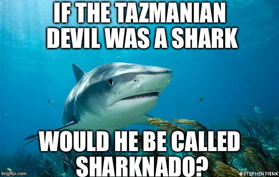Conspiracy Shark | IF THE TAZMANIAN DEVIL WAS A SHARK; WOULD HE BE CALLED SHARKNADO? | image tagged in conspiracy shark,memes,sharks | made w/ Imgflip meme maker