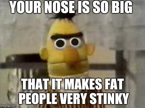 What the fuck is wrong with Bert?! | YOUR NOSE IS SO BIG; THAT IT MAKES FAT PEOPLE VERY STINKY | image tagged in bert stare,funny,joke,jokes | made w/ Imgflip meme maker