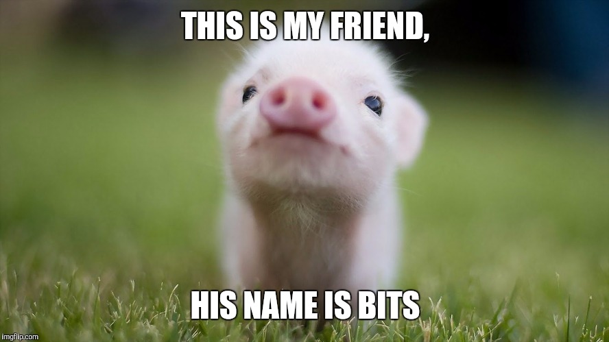 THIS IS MY FRIEND, HIS NAME IS BITS | made w/ Imgflip meme maker