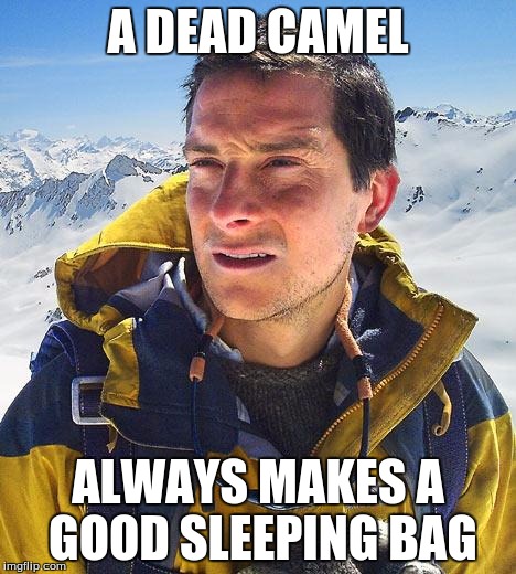 Bear Grylls |  A DEAD CAMEL; ALWAYS MAKES A GOOD SLEEPING BAG | image tagged in memes,bear grylls | made w/ Imgflip meme maker