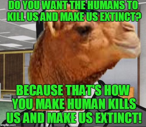 DO YOU WANT THE HUMANS TO KILL US AND MAKE US EXTINCT? BECAUSE THAT'S HOW YOU MAKE HUMAN KILLS US AND MAKE US EXTINCT! | made w/ Imgflip meme maker