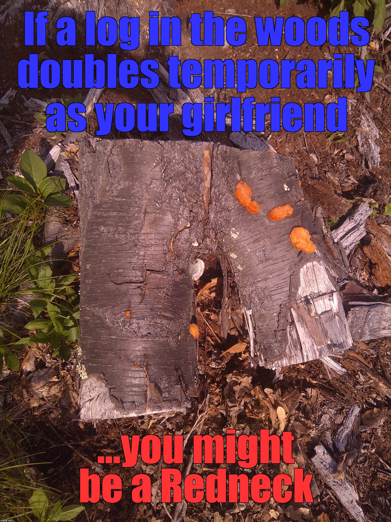 If a log in the woods doubles temporarily as your girlfriend; ...you might be a Redneck | image tagged in wooden love | made w/ Imgflip meme maker