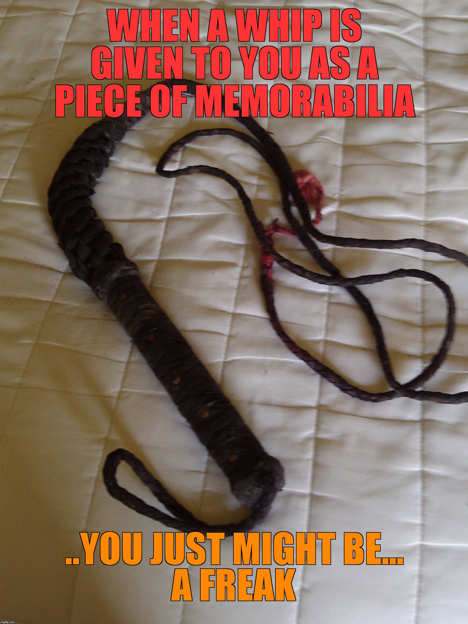 WHEN A WHIP IS GIVEN TO YOU AS A PIECE OF MEMORABILIA; ..YOU JUST MIGHT BE...               A FREAK | image tagged in whip it good | made w/ Imgflip meme maker