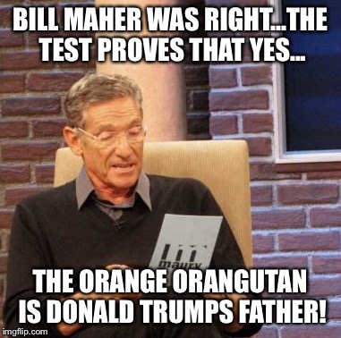 Maury Lie Detector Meme | BILL MAHER WAS RIGHT...THE TEST PROVES THAT YES... THE ORANGE ORANGUTAN IS DONALD TRUMPS FATHER! | image tagged in memes,maury lie detector | made w/ Imgflip meme maker