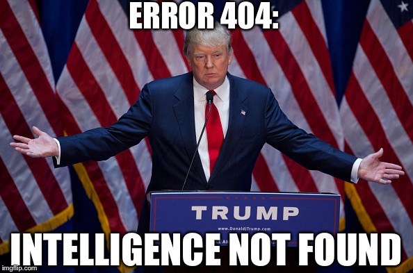 Err-code 15gf7: brain_corrupted | ERROR 404:; INTELLIGENCE NOT FOUND | image tagged in donald trump,error 404 | made w/ Imgflip meme maker