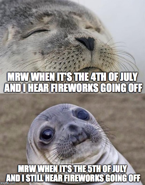 I mean, it's nice on the fourth, but after awhile it can get annoying. | MRW WHEN IT'S THE 4TH OF JULY AND I HEAR FIREWORKS GOING OFF; MRW WHEN IT'S THE 5TH OF JULY AND I STILL HEAR FIREWORKS GOING OFF | image tagged in memes,short satisfaction vs truth | made w/ Imgflip meme maker