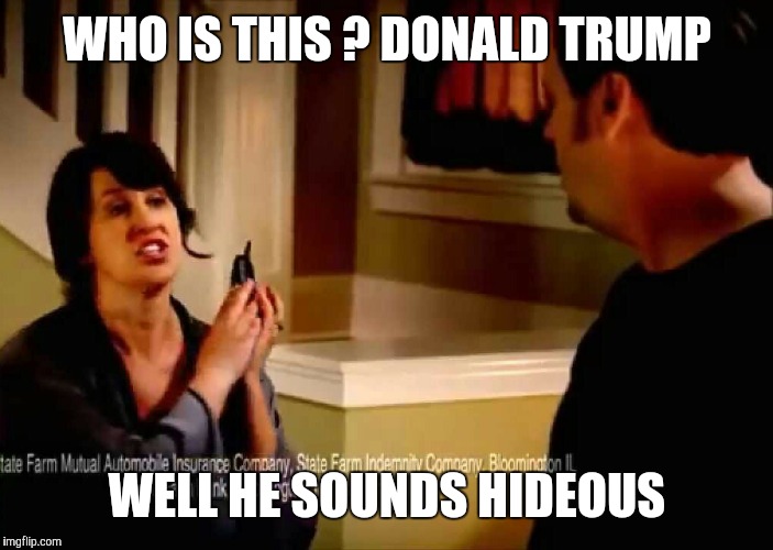 WHO IS THIS ? DONALD TRUMP; WELL HE SOUNDS HIDEOUS | image tagged in donald trump | made w/ Imgflip meme maker