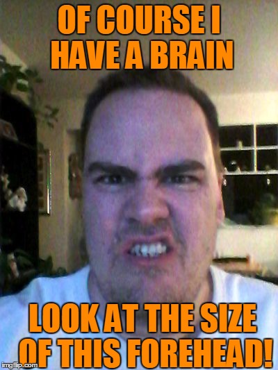 Grrr | OF COURSE I HAVE A BRAIN LOOK AT THE SIZE OF THIS FOREHEAD! | image tagged in grrr | made w/ Imgflip meme maker
