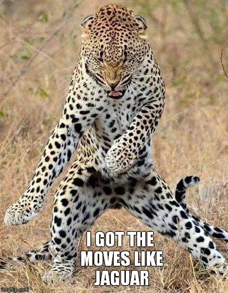 little loopy leopard lines | I GOT THE MOVES LIKE JAGUAR | image tagged in memes,funny memes,leopard dancing,moves like jagger,horrible puns | made w/ Imgflip meme maker