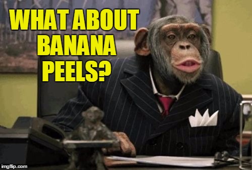 monkey bush | WHAT ABOUT BANANA PEELS? | image tagged in monkey bush | made w/ Imgflip meme maker
