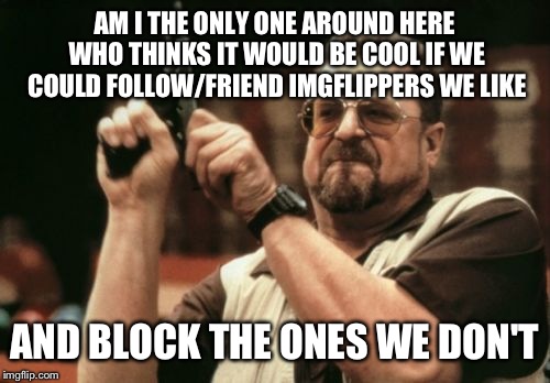 I honestly think the ability to block people would virtually eliminate issues with trolls too. | AM I THE ONLY ONE AROUND HERE WHO THINKS IT WOULD BE COOL IF WE COULD FOLLOW/FRIEND IMGFLIPPERS WE LIKE; AND BLOCK THE ONES WE DON'T | image tagged in memes,am i the only one around here | made w/ Imgflip meme maker