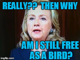 REALLY??  THEN WHY AM I STILL FREE AS A BIRD? | image tagged in hillary | made w/ Imgflip meme maker