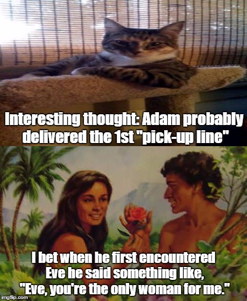 Biblical "Pick-up" Lines | Interesting thought: Adam probably delivered the 1st "pick-up line"; I bet when he first encountered Eve he said something like, "Eve, you're the only woman for me." | image tagged in memes,funny,bible,adam and eve,pickup lines,interesting | made w/ Imgflip meme maker
