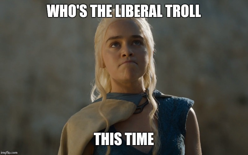 WHO'S THE LIBERAL TROLL THIS TIME | made w/ Imgflip meme maker