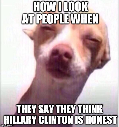suspicious dog | HOW I LOOK AT PEOPLE WHEN; THEY SAY THEY THINK HILLARY CLINTON IS HONEST | image tagged in dog,suspicious,squint | made w/ Imgflip meme maker